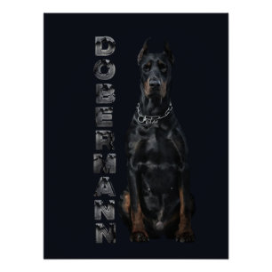 Doberman Pinscher Poster Perfect Poster