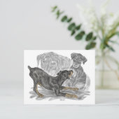 Doberman Pinscher-Puppies Briefkaart (Staand voorkant)