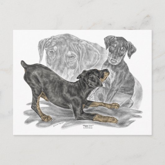 Doberman Pinscher-Puppies Briefkaart (Voorkant)