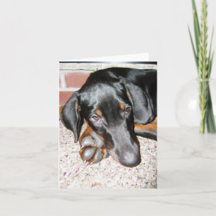 Doberman Pinscher Puppy - Blank briefkaartje Kaart