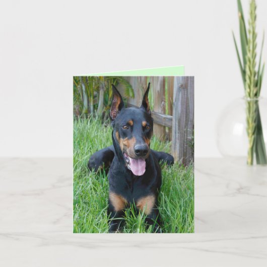 Doberman Pinscher Puppy Dog Blank Note Card Kaart (Voorkant)