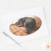doberman-pinscher-puppy ovale sticker (Envelop)