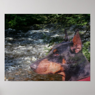 Doberman Pinscher River Tree Fantasy Art Poster