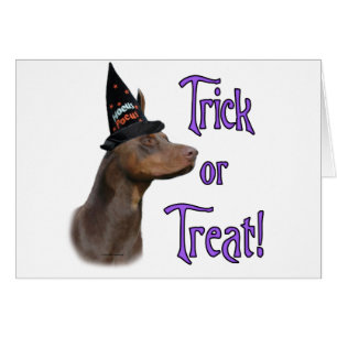Doberman Pinscher (rouge) Trick