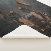 Doberman Pinscher Sherpa Deken (3/4)