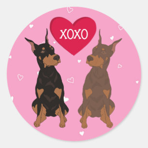 Doberman Pinscher Valentijnsdag Ronde Sticker