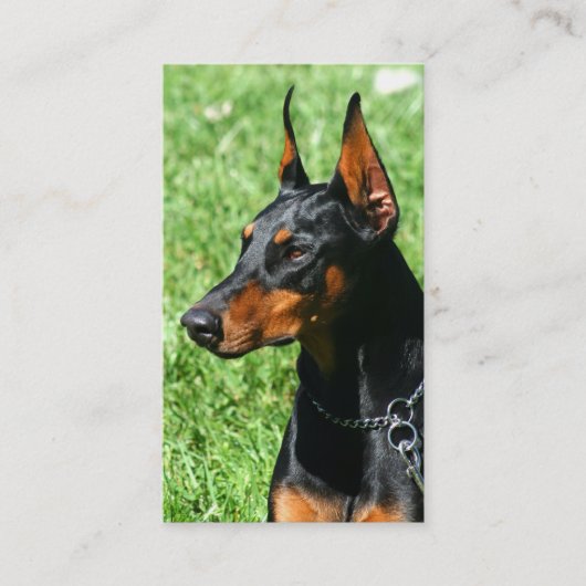 Doberman Pinscher visitekaartjes (Voorkant)