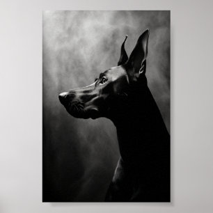 Doberman Pinscher Zwart-wit Poster