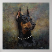 Doberman Poster (Voorkant)