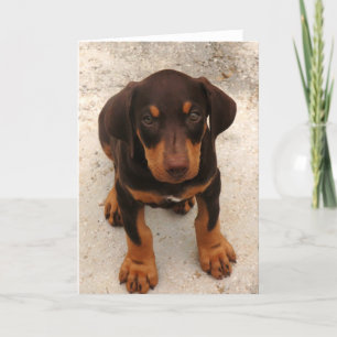 Doberman Puppy Kaart