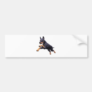 Doberman Puppy Leaping Bumpersticker