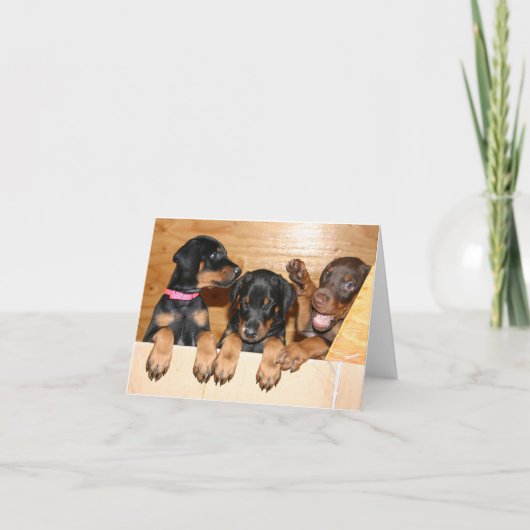 Doberman Puppy Note Kaart (Voorkant)