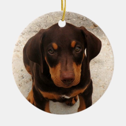 Doberman Puppy Ornament (Voorkant)