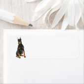 Doberman retouradreslabel etiket (Insitu)