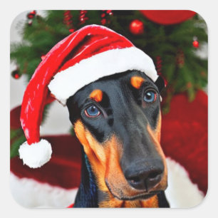 Doberman Santa Hat Vierkante Sticker