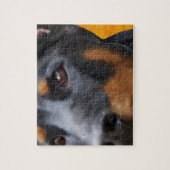 Doberman sluit af legpuzzel (Verticaal)