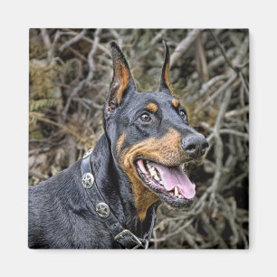 Doberman Smile Magnet Magneet