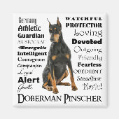 Doberman Traits Magnet Magneet (Voorkant)