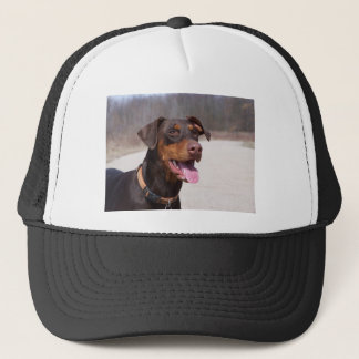 Doberman Trucker Pet