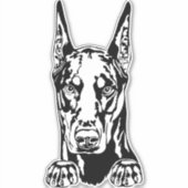 Doberman Vinyl Car Sticker (Voorkant)