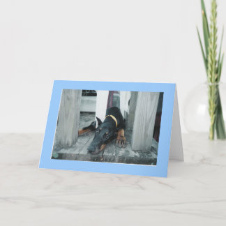 Doberman, wou dat je hier was kaart