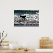 Doberman - Zwart - Ocean Leap Poster (Keuken)