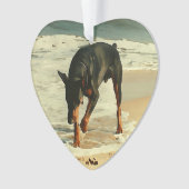 Dobermann à l'image de peinture de plage (devant)
