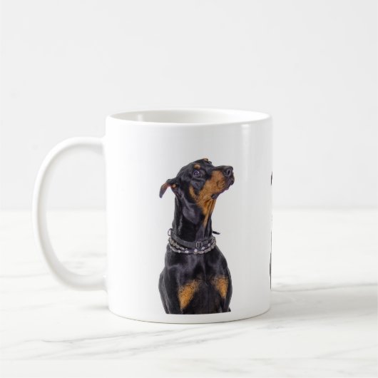 Dobermann avec la tasse sournoise de regard (Gauche)