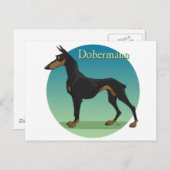 dobermann briefkaart (Voorkant / Achterkant)
