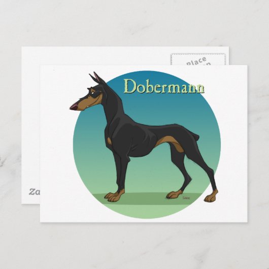 dobermann briefkaart (Voorkant / Achterkant)