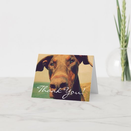 Dobermann de Merci (Devant)