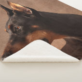 Dobermann - Doberman Pinscher Sherpa Deken (3/4)