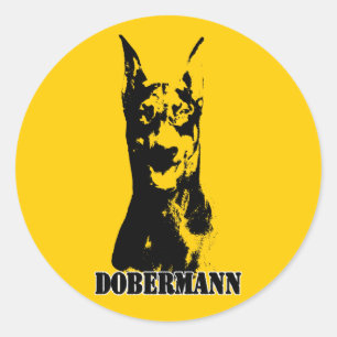 Dobermann hoofd ronde sticker
