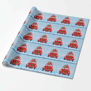 Dobermann in auto met kerstman cadeaupapier