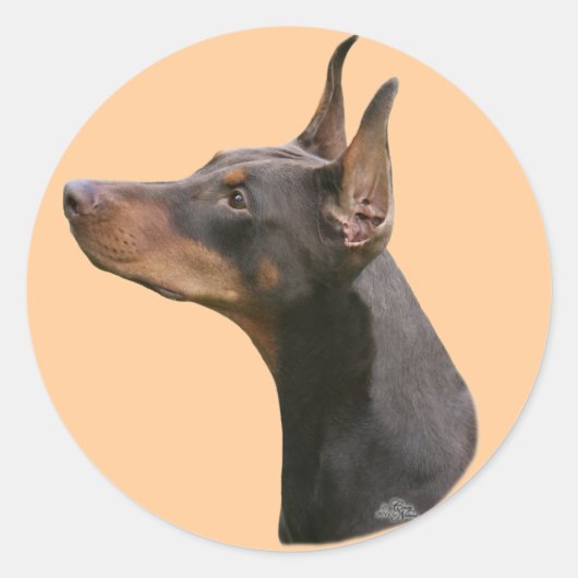 Dobermann Pinscher hoofd- rode/zwarte Sticker (Voorkant)