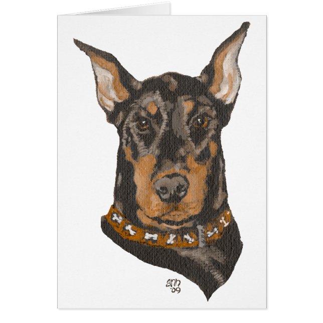 Dobermann Pinscher kopstudie (Voorkant)