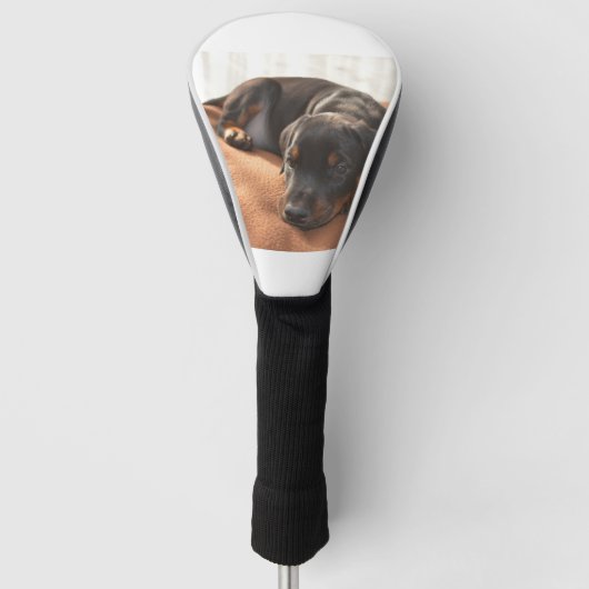 dobermann-pinscher-puppy golfheadcover (Voorkant)