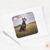 Dobermann Pinscher Vierkante Sticker (Envelop)