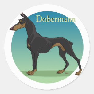 dobermann ronde sticker