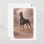 Dobermann van vintage-stijl briefkaart (Voorkant / Achterkant)