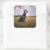 Dobermann Vierkante Sticker (Tas)