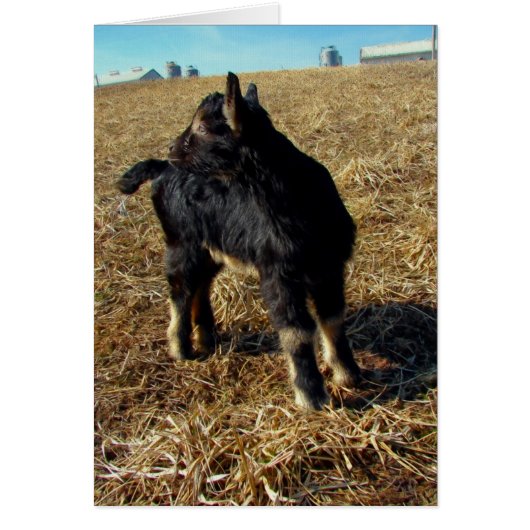 Dobie the Goat Kind (Voorkant)