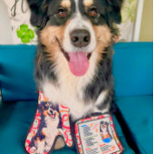 DOBRO Aussie Australian Shepherd Ovenwant & Pannenlap Set