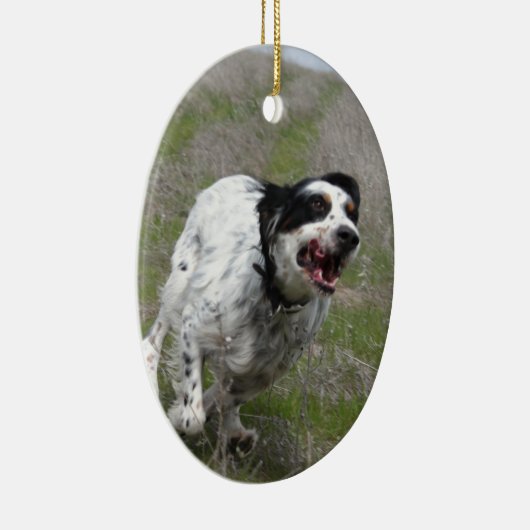 Doc.: A5-0032/2003 Keramisch Ornament (Rechts)