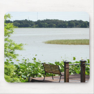 Dock op het meer van Hollingsworth Muismat