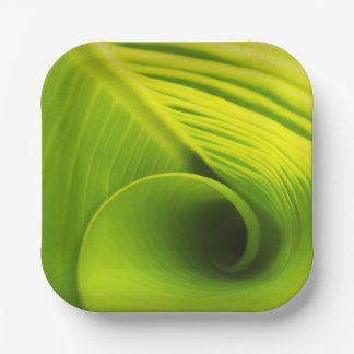 Document Bord."Milieuvriendelijke Elegantie: Blado Papieren Bordje