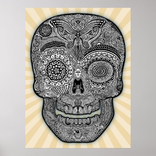 DoD Sk511-bw Poster (Voorkant)