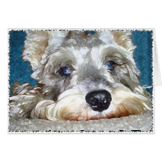 DOD : Un Petit Schnauzer Allemand Si Mignonne