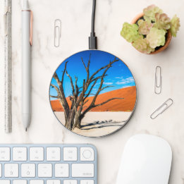 Dode boom in Deadvlei, Namibië