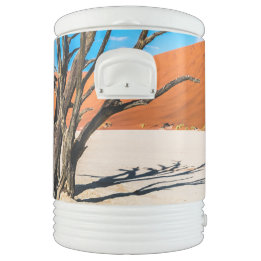 Dode boom in Deadvlei, Namibië Cooler